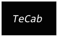 TECAB