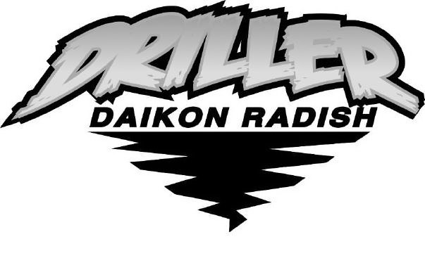  DRILLER DAIKON RADISH