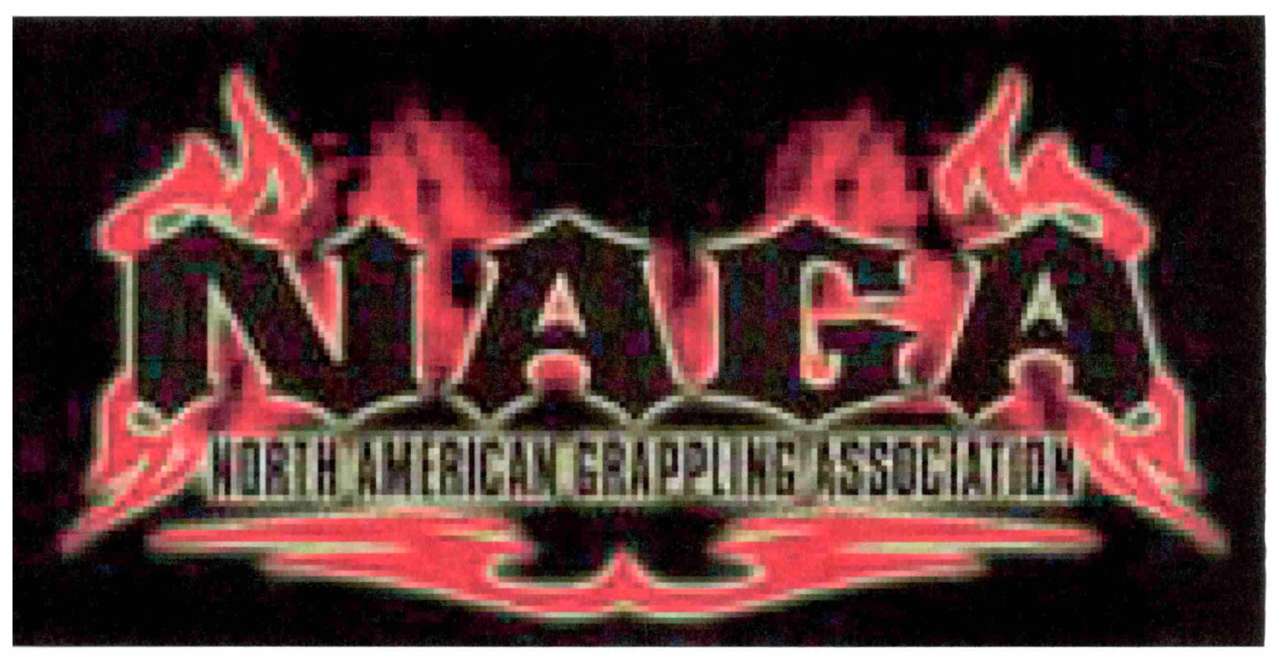 Trademark Logo NAGA NORTH AMERICAN GRAPPLING ASSOCIATION