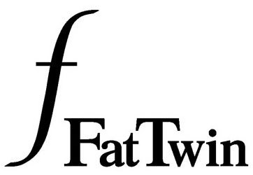 Trademark Logo FFATTWIN