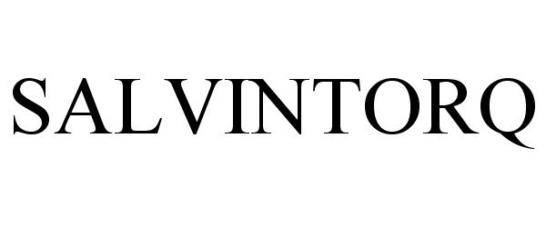  SALVINTORQ