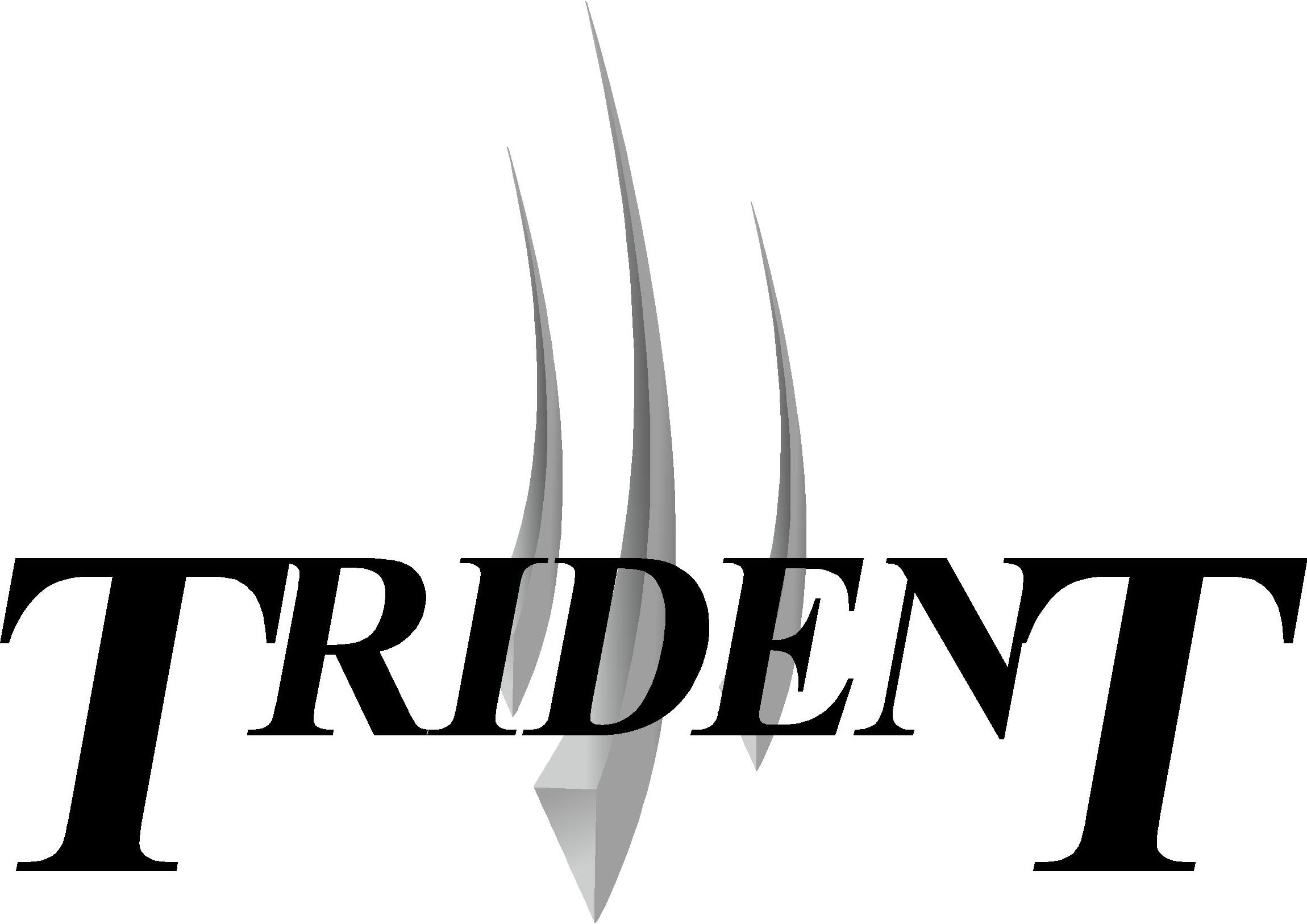 Trademark Logo TRIDENT