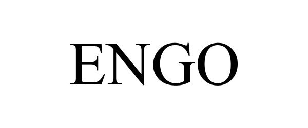 Trademark Logo ENGO