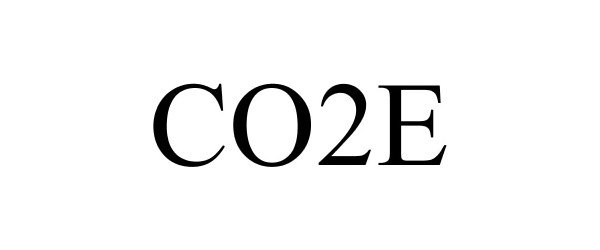  CO2E