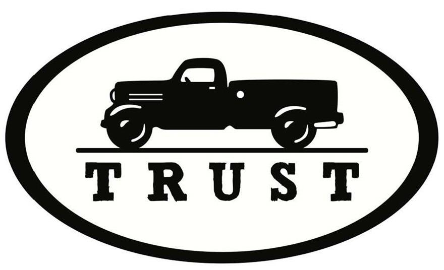 Trademark Logo TRUST