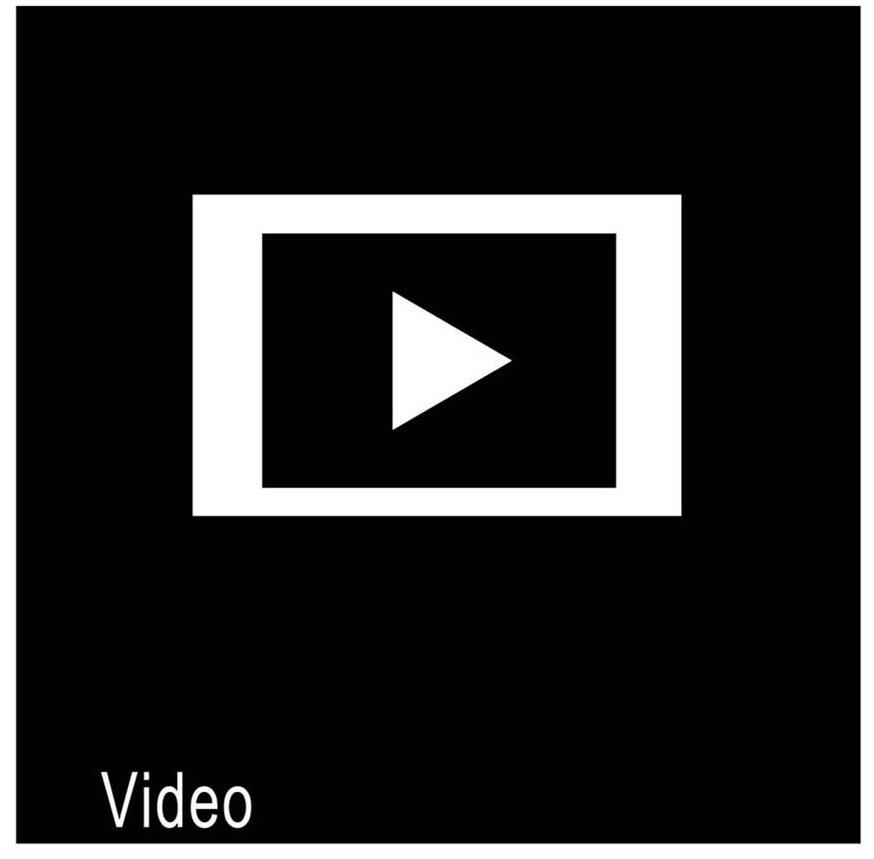 Trademark Logo VIDEO