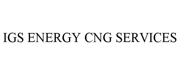  IGS ENERGY CNG SERVICES