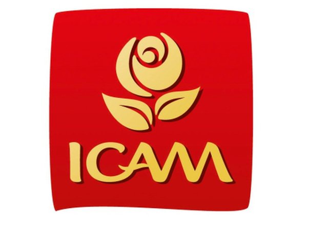 Trademark Logo ICAM
