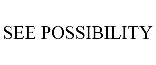  SEE POSSIBILITY