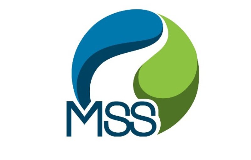 Trademark Logo MSS