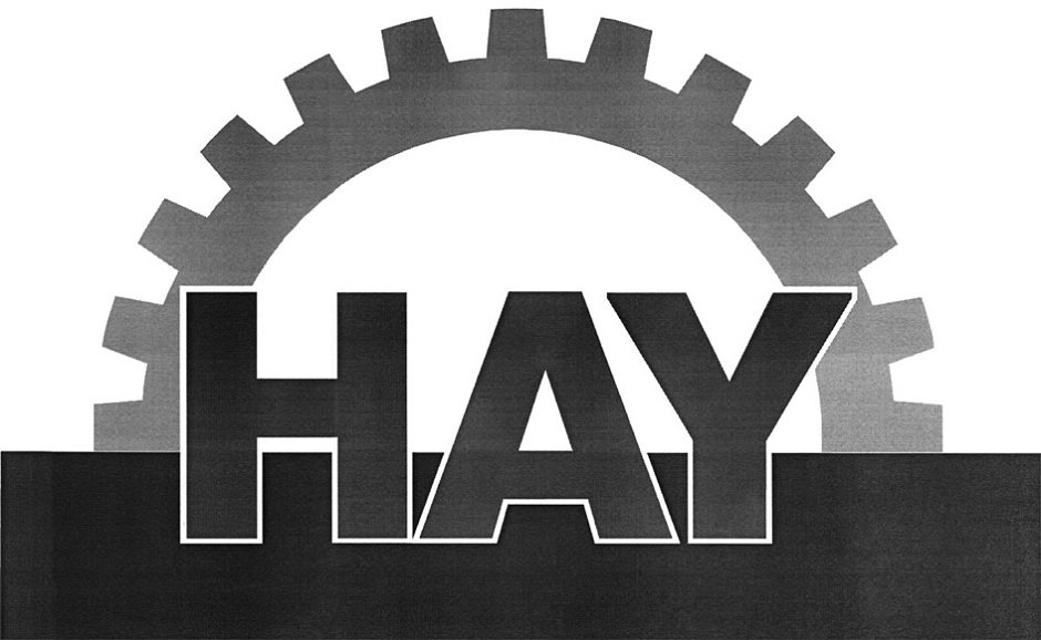 Trademark Logo HAY