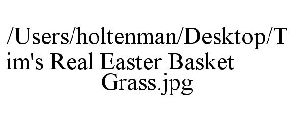  /USERS/HOLTENMAN/DESKTOP/TIM'S REAL EASTER BASKET GRASS.JPG