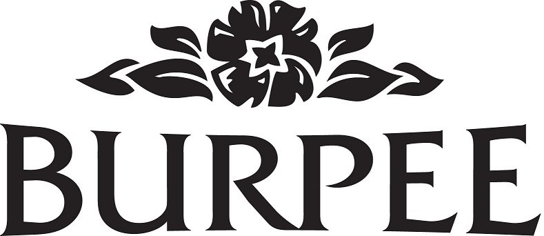 Trademark Logo BURPEE