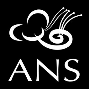 Trademark Logo ANS