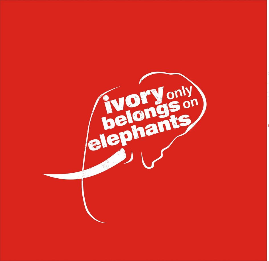  IVORY ONLY BELONGS ON ELEPHANTS