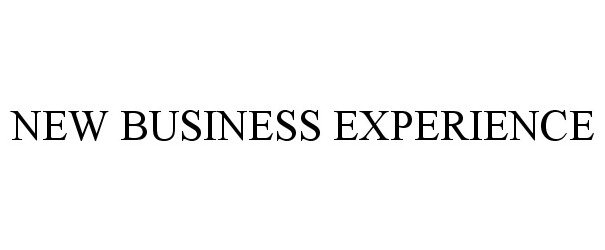  NEW BUSINESS EXPERIENCE