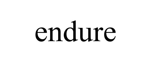 Trademark Logo ENDURE