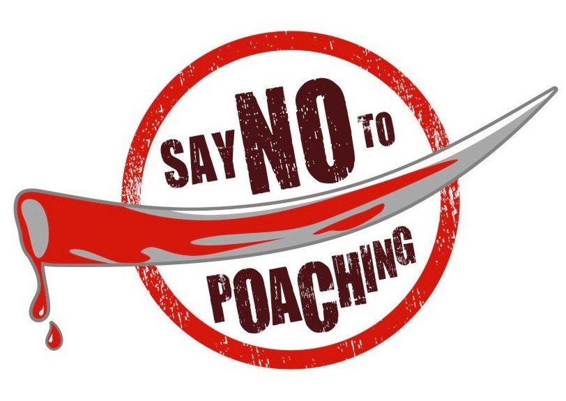  SAY NO TO POACHING