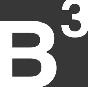  B3