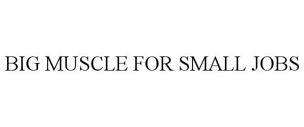 Trademark Logo BIG MUSCLE FOR SMALL JOBS