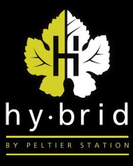  H HY BRID BY PELTIER STATION