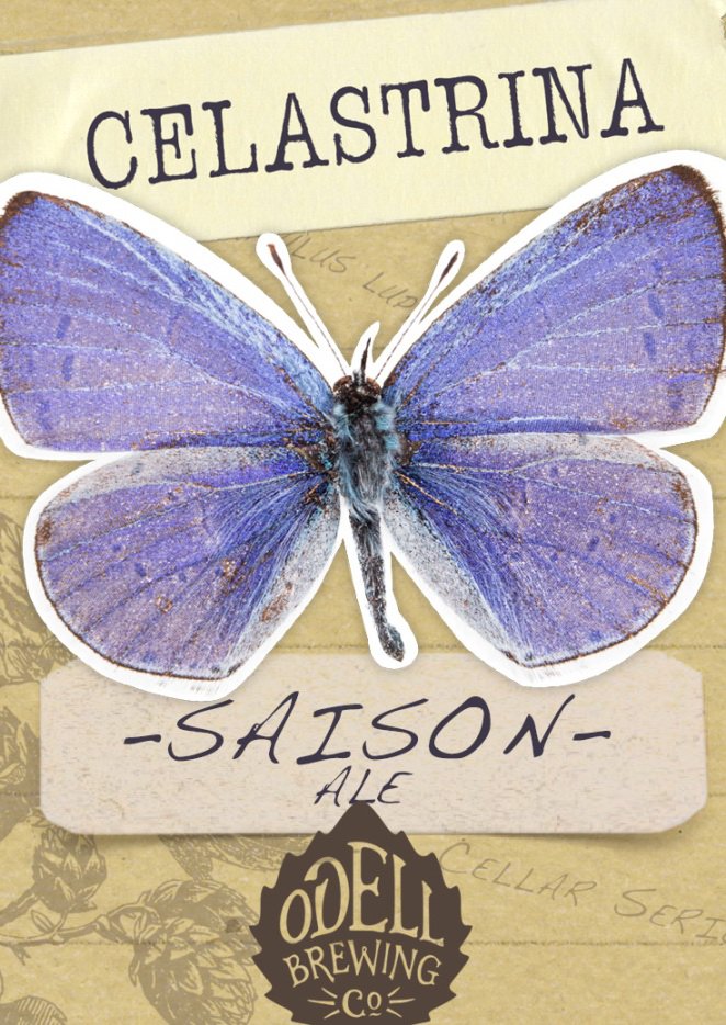 Trademark Logo CELASTRINA SAISON ALE ODELL BREWING