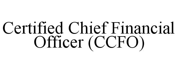  CERTIFIED CHIEF FINANCIAL OFFICER (CCFO)