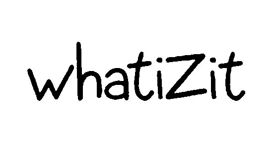  WHATIZIT