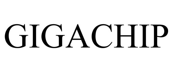  GIGACHIP