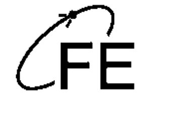 Trademark Logo FE