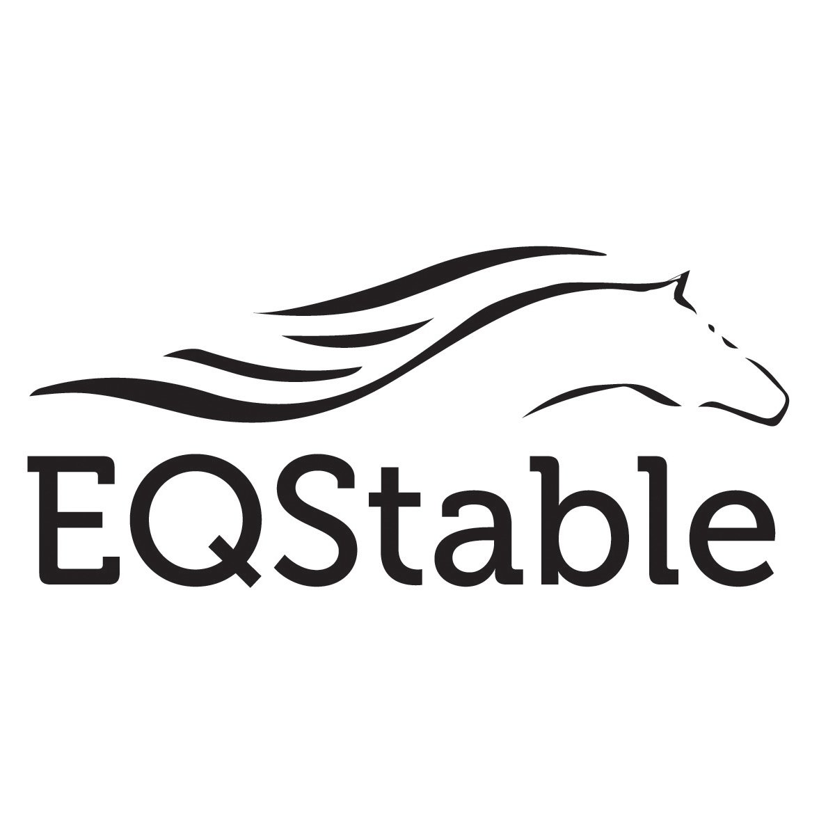  EQSTABLE