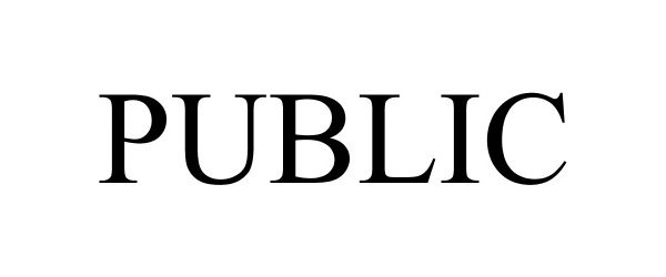 Trademark Logo PUBLIC