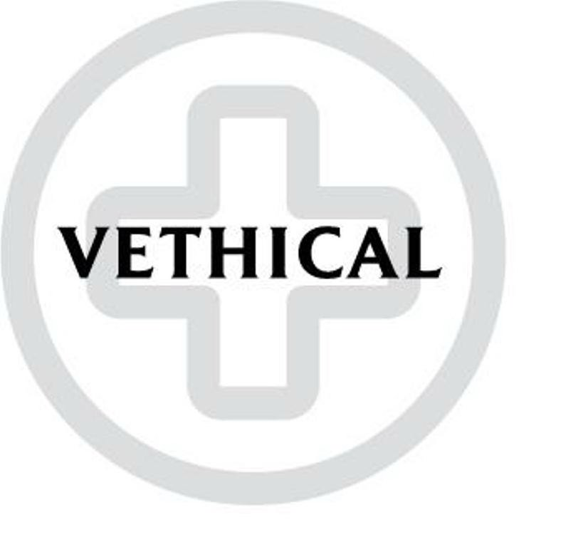  VETHICAL