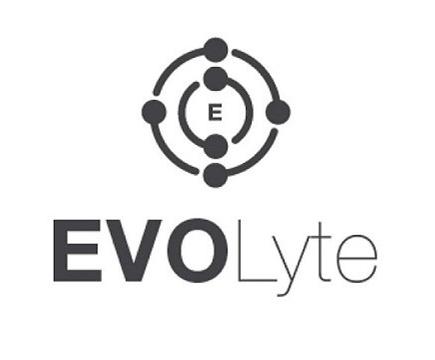 Trademark Logo E EVOLYTE