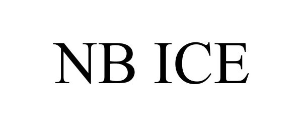  NB ICE
