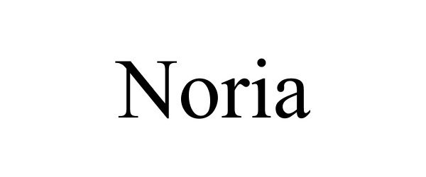  NORIA