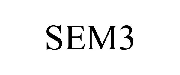  SEM3