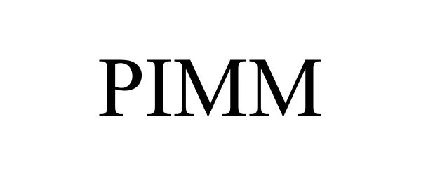  PIMM