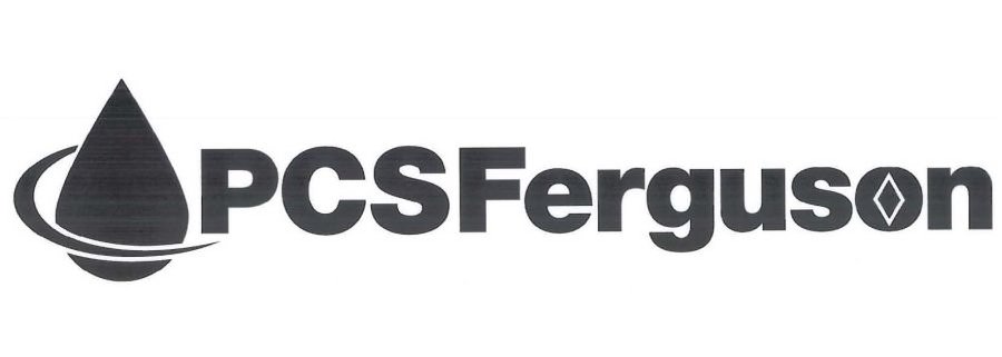 Trademark Logo PCSFERGUSON