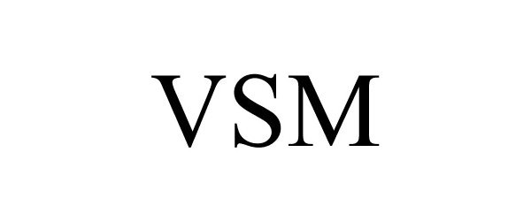  VSM