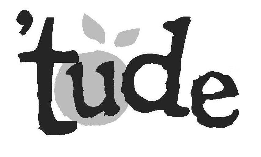 Trademark Logo TUDE