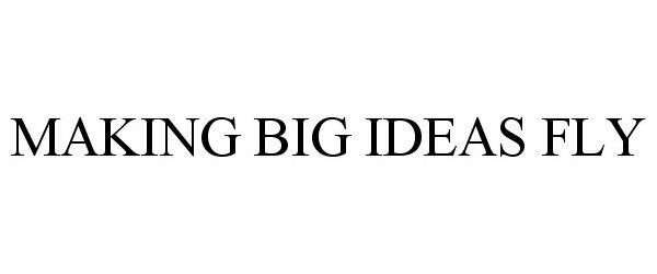  MAKING BIG IDEAS FLY