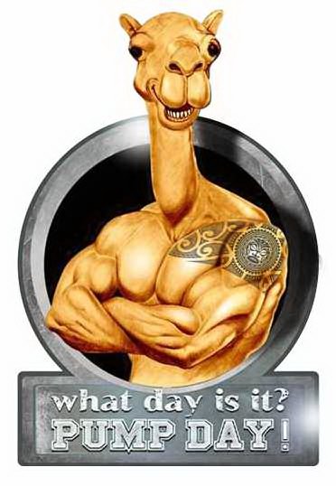 Trademark Logo WHAT DAY IS IT? PUMP DAY!
