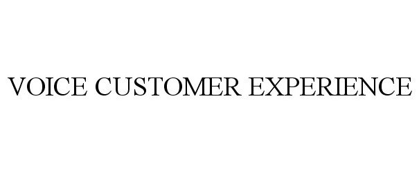  VOICE CUSTOMER EXPERIENCE