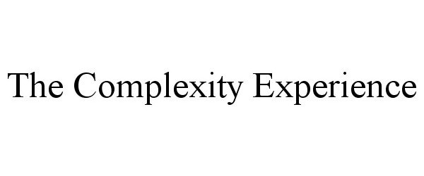  THE COMPLEXITY EXPERIENCE