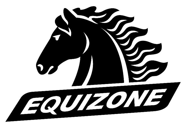  EQUIZONE