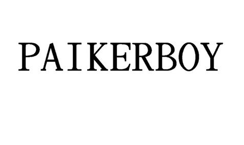Trademark Logo PAIKERBOY