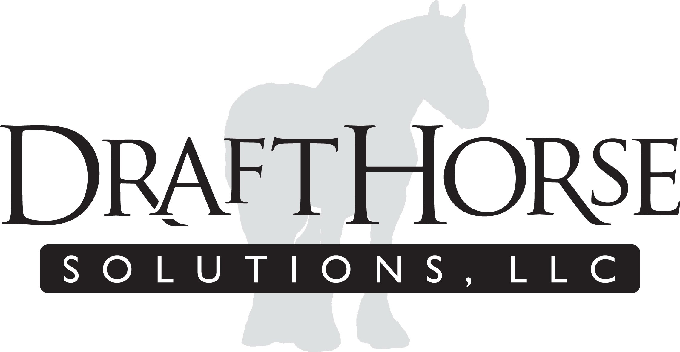  DRAFTHORSE SOLUTIONS, LLC