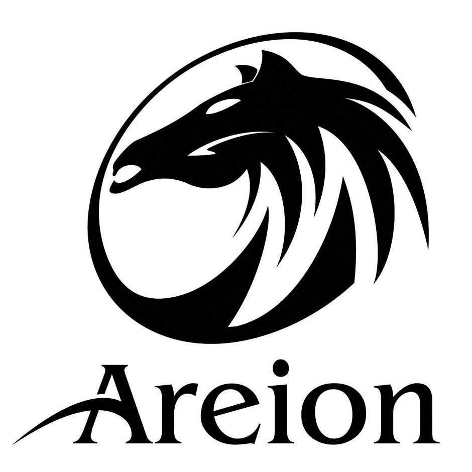  AREION