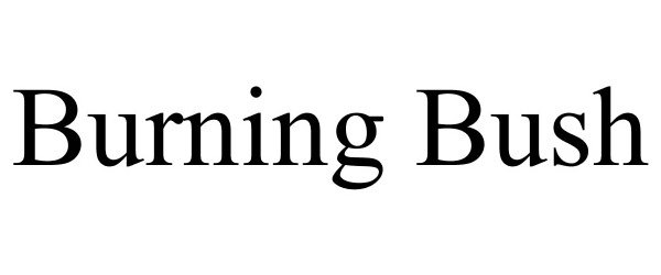Trademark Logo BURNING BUSH